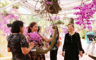 Hơn 1.000 giò lan khoe sắc tại triển lãm 'Hương sắc Lai Châu'